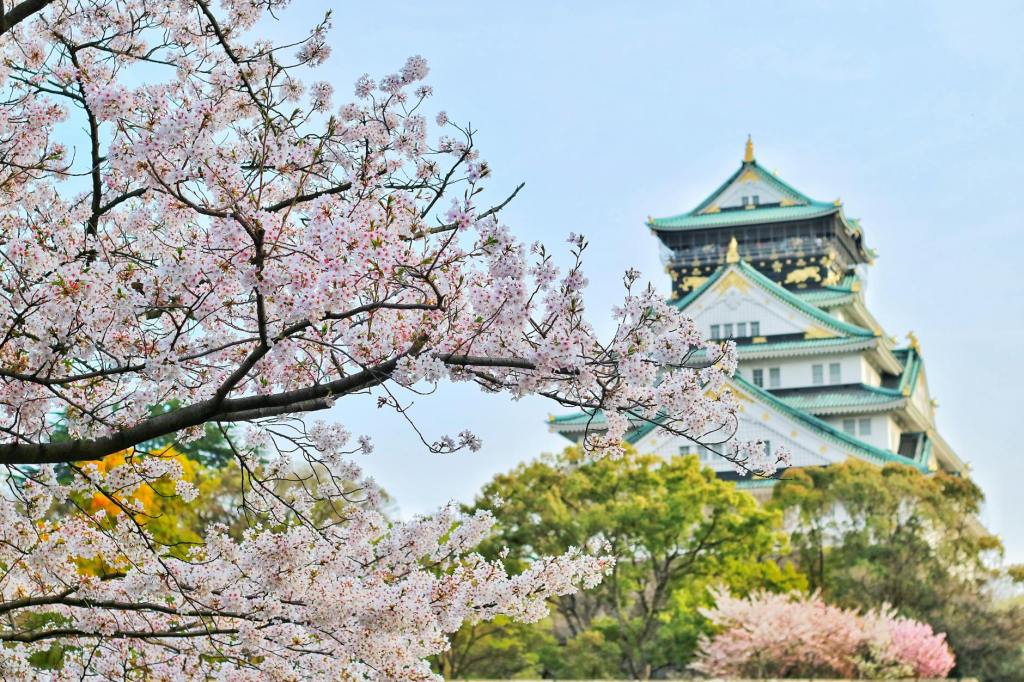 Cherry Blossoms and Beyond: The Best Spring Festivals Around the&nbsp;World